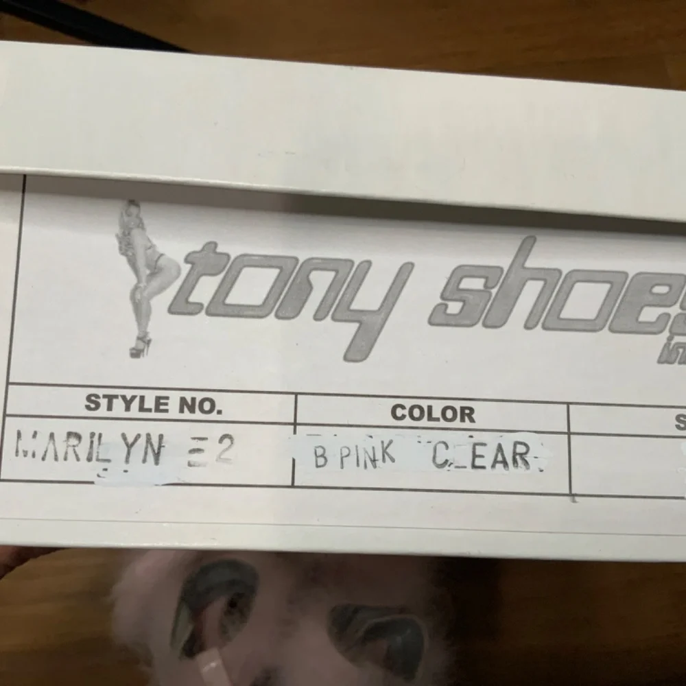 Tony Shoes Pale Pink and Clear Marilyn Heels